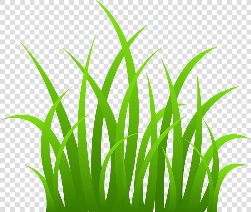 Grass Png Cartoon   Clipart Grass  Transparent PngTransparent PNG