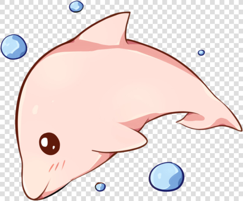 Mammal Drawing Dolphin   Kawaii Dolphin Clipart  HD Png DownloadTransparent PNG