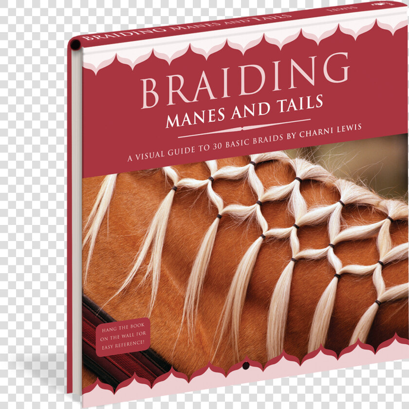 Cover   Pony Grooming Braids  HD Png DownloadTransparent PNG