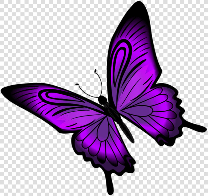 Purple Butterfly Png   Butterfly Clipart Purple  Transparent PngTransparent PNG