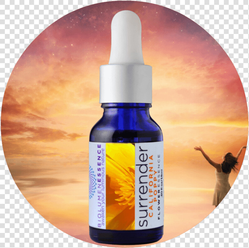 Surrender California Poppy Flower Essence   Cosmetics  HD Png DownloadTransparent PNG