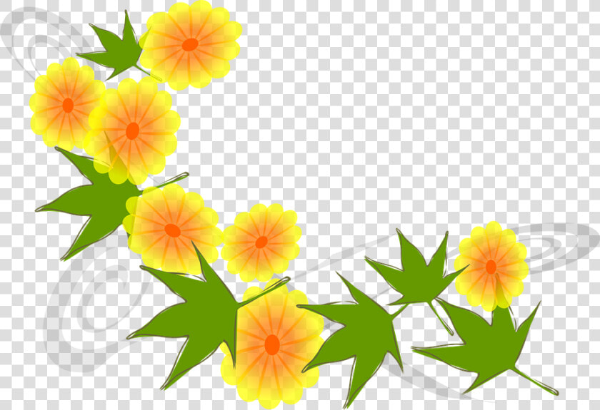 Flowers  Yellow  Blooms  Golden  Petals  Blossoms   Gif Thank You Butterfly  HD Png DownloadTransparent PNG