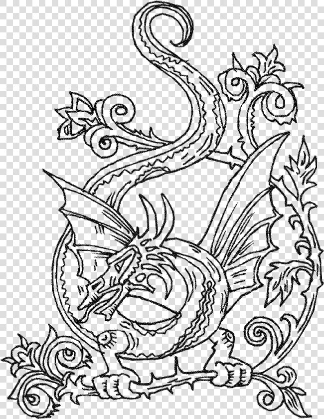 Adult Coloring Page Celtic Knots  HD Png DownloadTransparent PNG