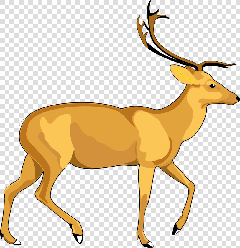 Deer Vector Png Transparent Image   Deer Vector Png  Png DownloadTransparent PNG