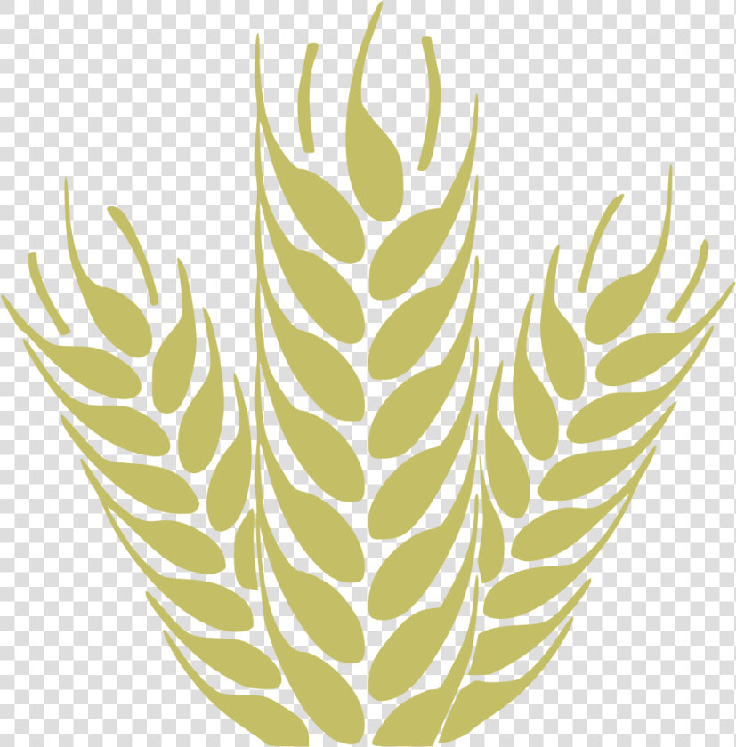 Wheat 1   Trigo   Agriculture Visiting Card Design  HD Png DownloadTransparent PNG