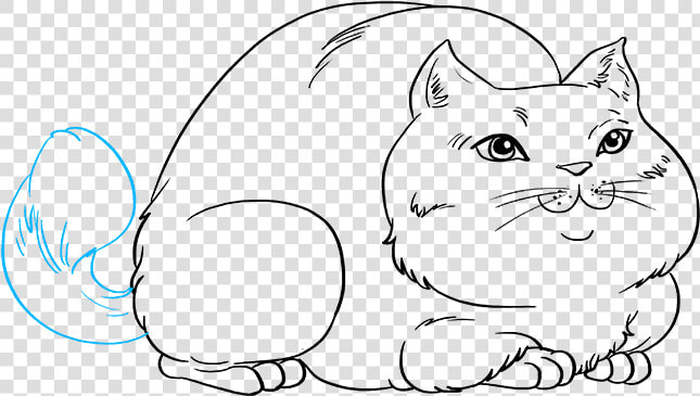 How To Draw Fat Cat   Draw A Fat Cat  HD Png DownloadTransparent PNG