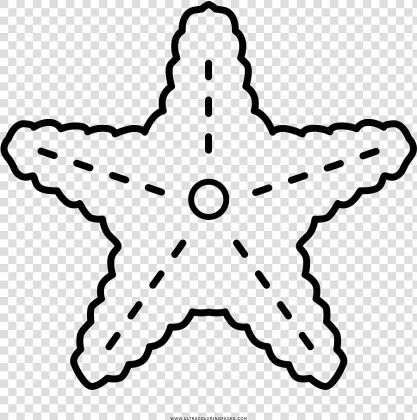 Starfish Coloring Page   Estrella De Mar Png Colorear  Transparent PngTransparent PNG