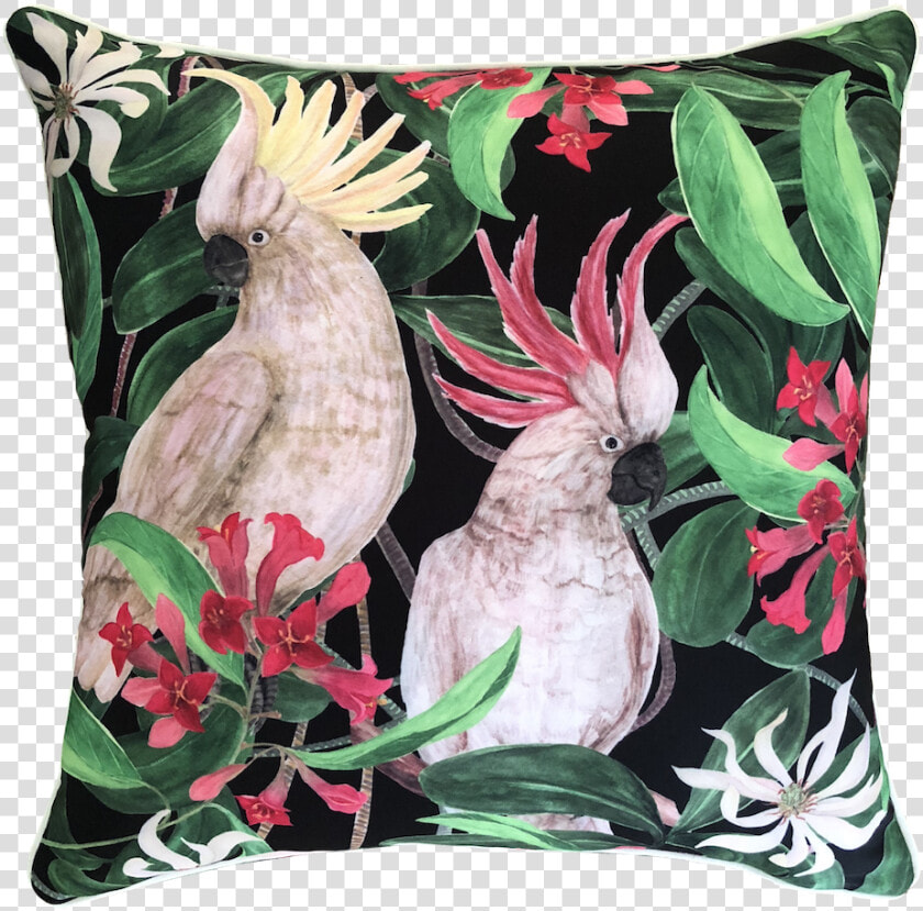 Cockatoo Eden Outdoor Cushion   Cushion  HD Png DownloadTransparent PNG