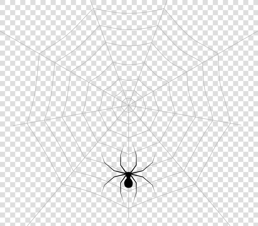 Spider Web Pattern Symmetry Point Angle  HD Png DownloadTransparent PNG