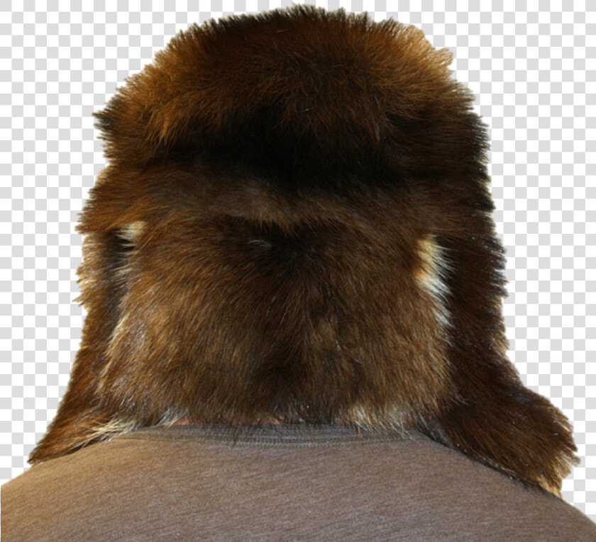 Free Download Fur Clipart Fur Clothing Ushanka   Png   Ushanka  Transparent PngTransparent PNG