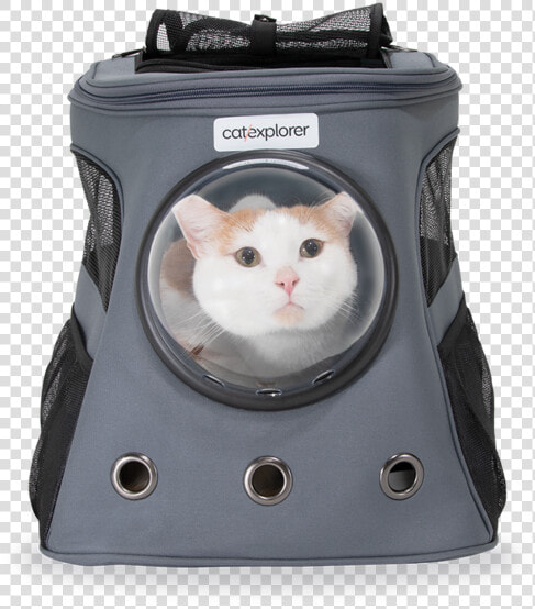 Catexplorer 1 May 19 0201 1500  HD Png DownloadTransparent PNG