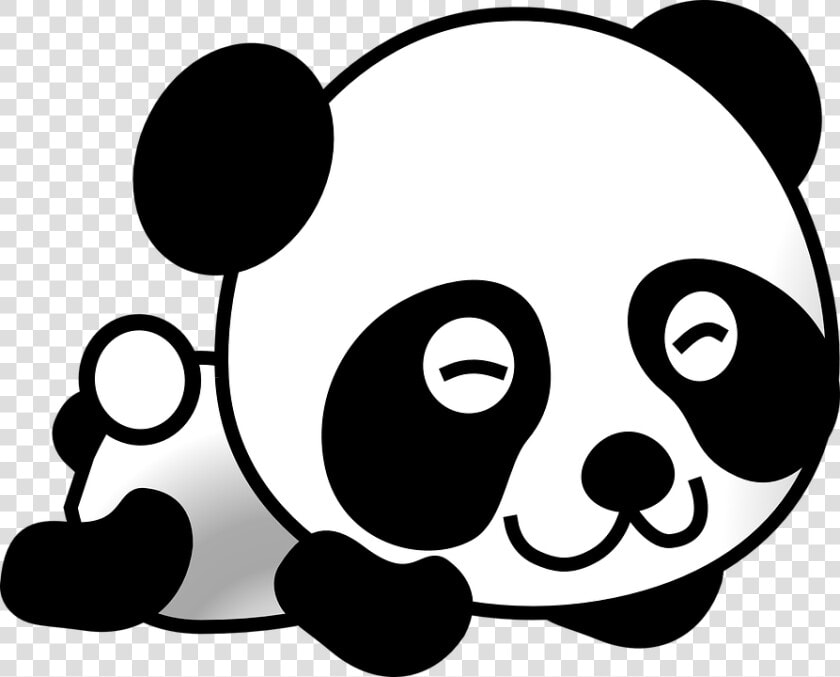 Panda  Giant Panda  Bear  Animal  White  China  Species   Panda Clipart  HD Png DownloadTransparent PNG