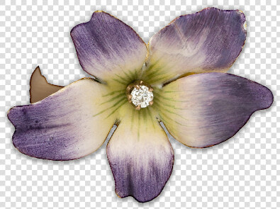 Periwinkle  HD Png DownloadTransparent PNG