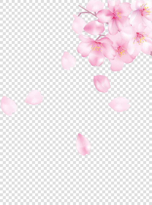  ftestickers  cherryblossoms  petals  falling  floating   Cherry Blossom  HD Png DownloadTransparent PNG