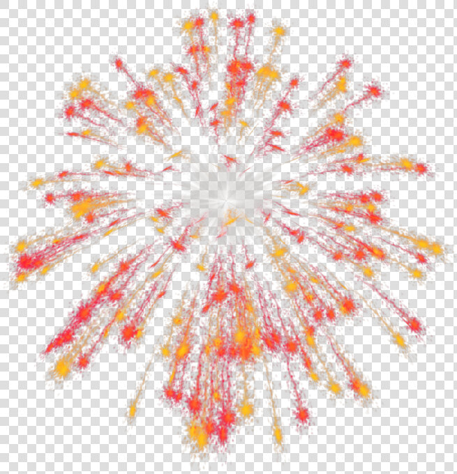 Fireworks Computer Animation Gimp Das Productions Inc   Floral Design  HD Png DownloadTransparent PNG