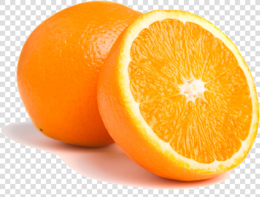 Orange   Orange  png  Transparent PngTransparent PNG