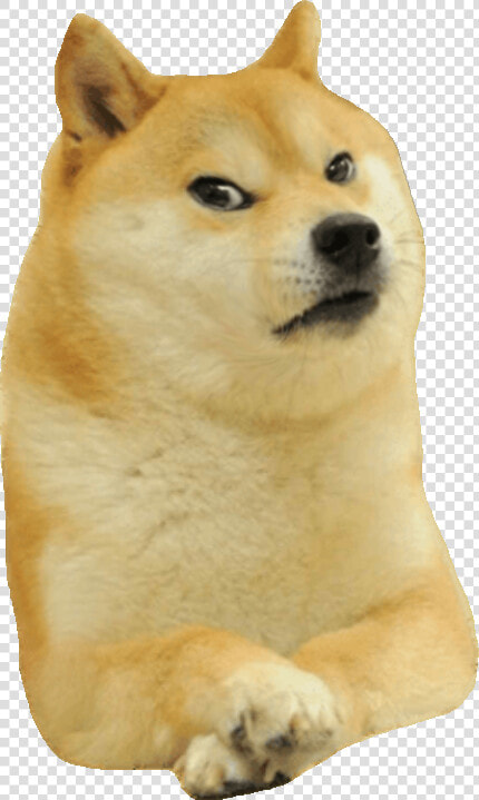 Doge Smirk  HD Png DownloadTransparent PNG