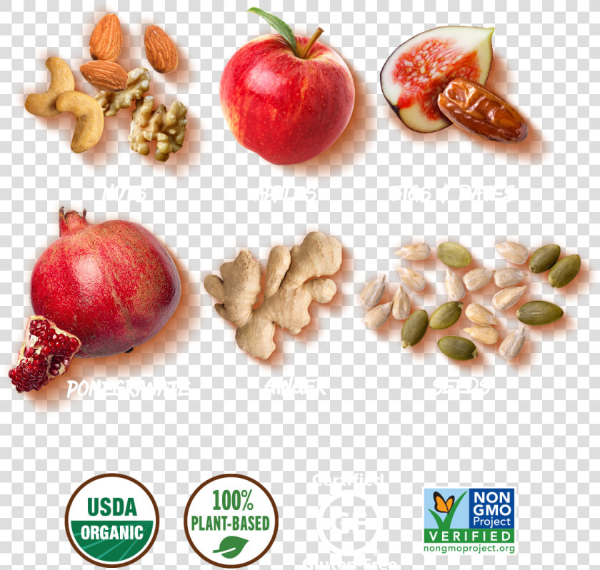 Benefits   Seedless Fruit  HD Png DownloadTransparent PNG