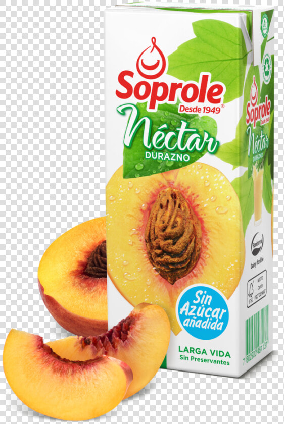 Jugo Soprole 200 Ml  HD Png DownloadTransparent PNG