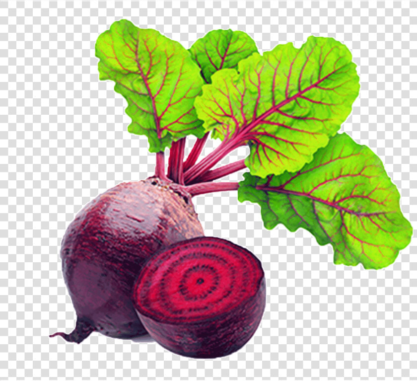 Beetroot Vegetable Clipart   Transparent Cartoons   Vegetable Beetroot Clipart  HD Png DownloadTransparent PNG