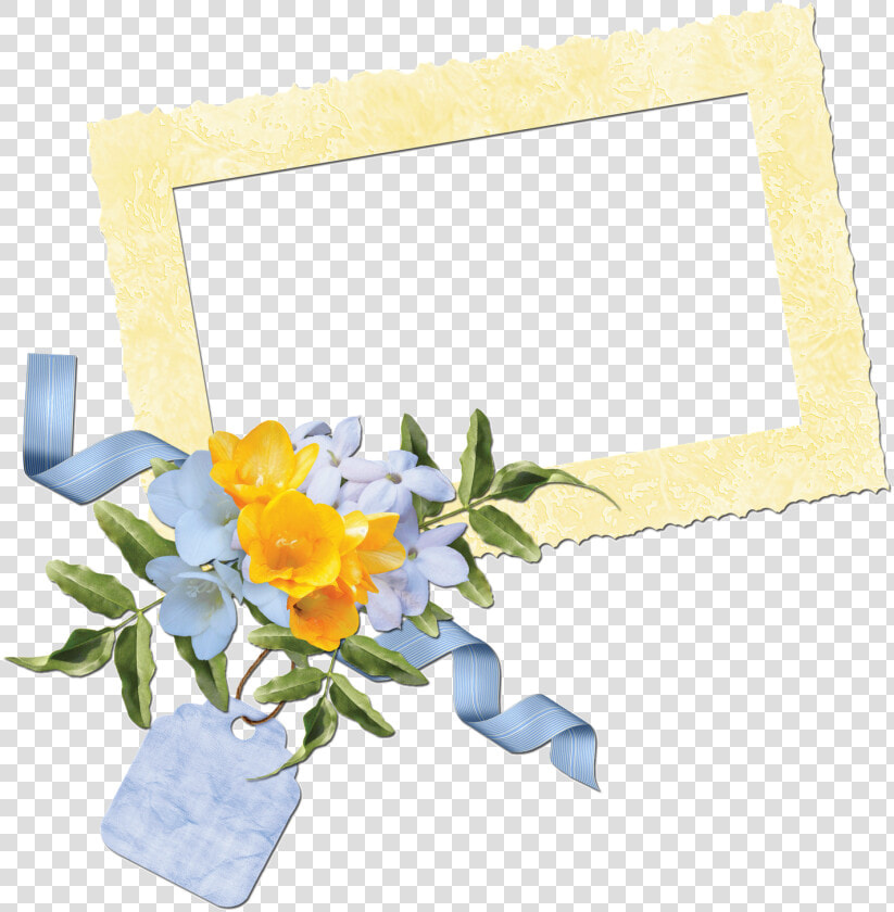 Transparent Cluster Frames Png   Evergreen Rose  Png DownloadTransparent PNG