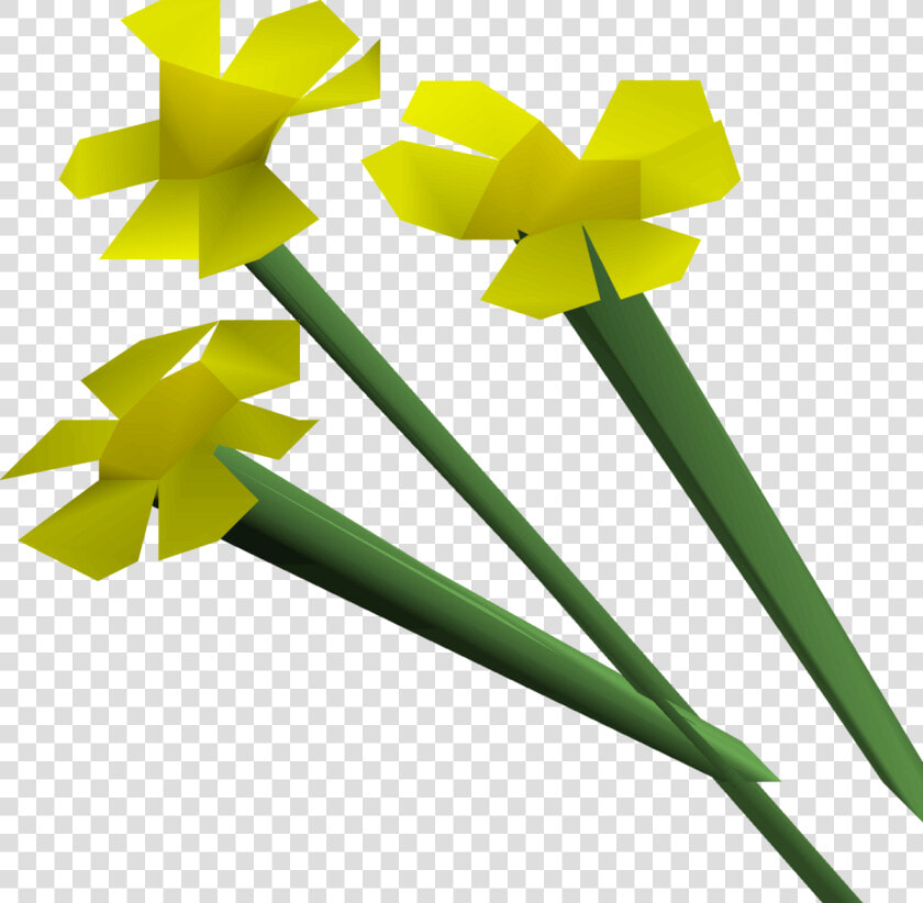 Osrs Flowers  HD Png DownloadTransparent PNG