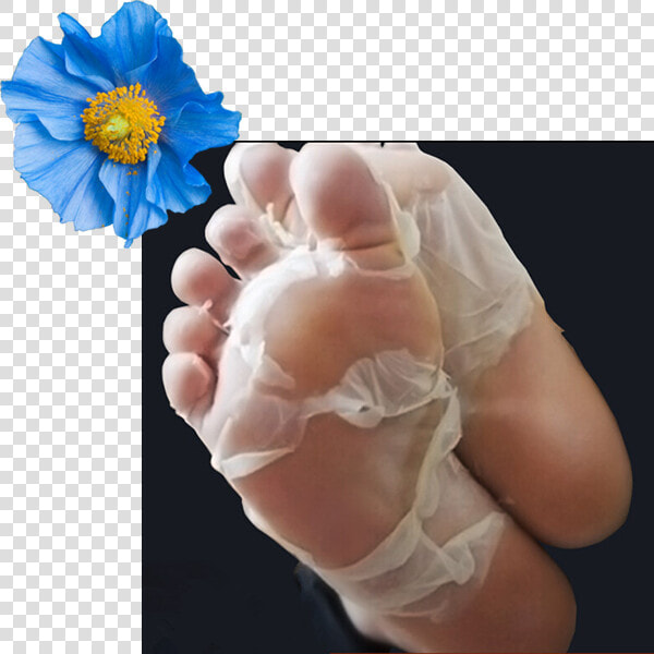 Baby Feet Peel Uk  HD Png DownloadTransparent PNG