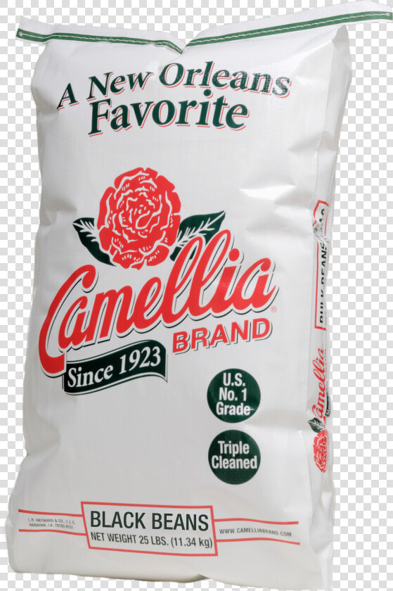 Camellia Beans  HD Png DownloadTransparent PNG