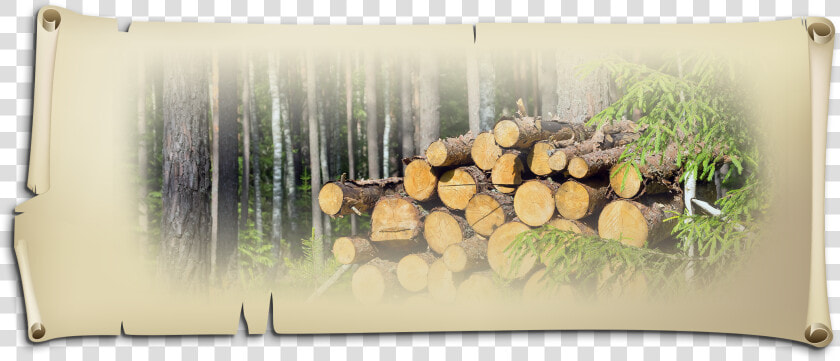 Wood With The Birch Bark And Then Build Up The Logs   Lumber  HD Png DownloadTransparent PNG