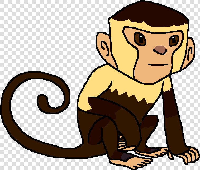 Capuchin Monkey Clipart Banner Free Download Image   Capuchin Monkey Cartoon Png  Transparent PngTransparent PNG