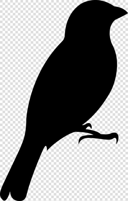 Oriole Publishing For Wind Quintet   Woodwood Quintet   Perching Bird  HD Png DownloadTransparent PNG