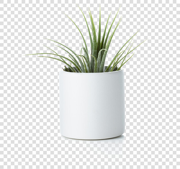 Flowerpot  HD Png DownloadTransparent PNG