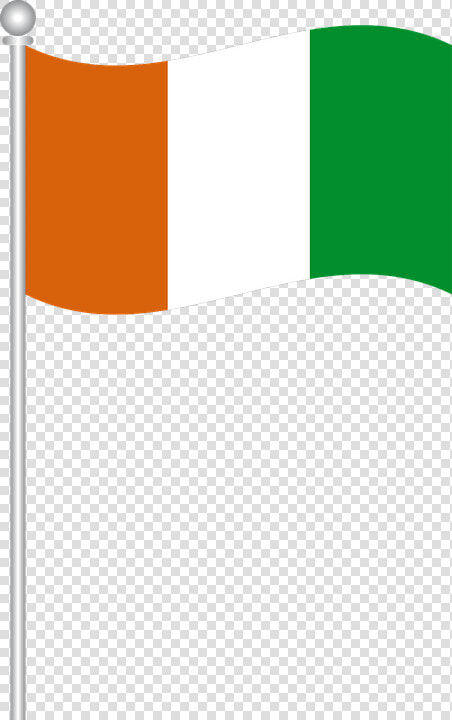 Ivory Coast Flag Png Transparent Images   Drapeau De La Cote D Ivoire  Png DownloadTransparent PNG