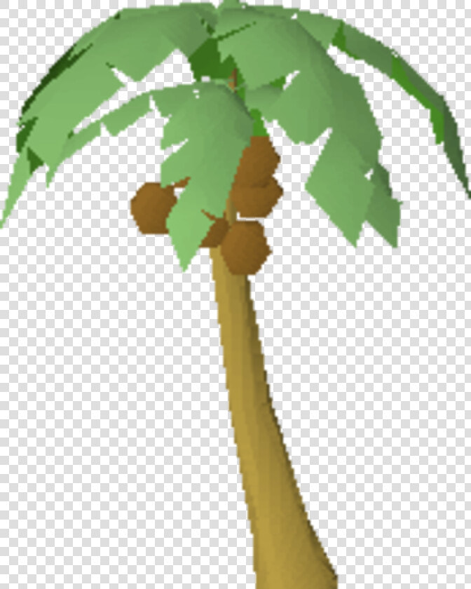 Osrs Palm Tree  HD Png DownloadTransparent PNG