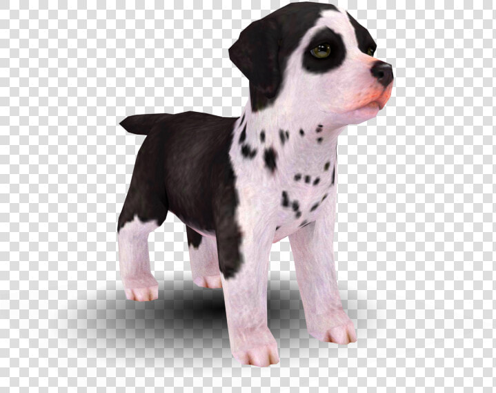 Download Zip Archive   Models Resource Nintendogs  HD Png DownloadTransparent PNG