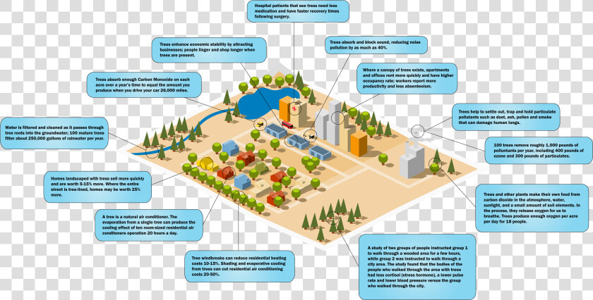 Ostvig Tree Invest Infographic   Plan  HD Png DownloadTransparent PNG