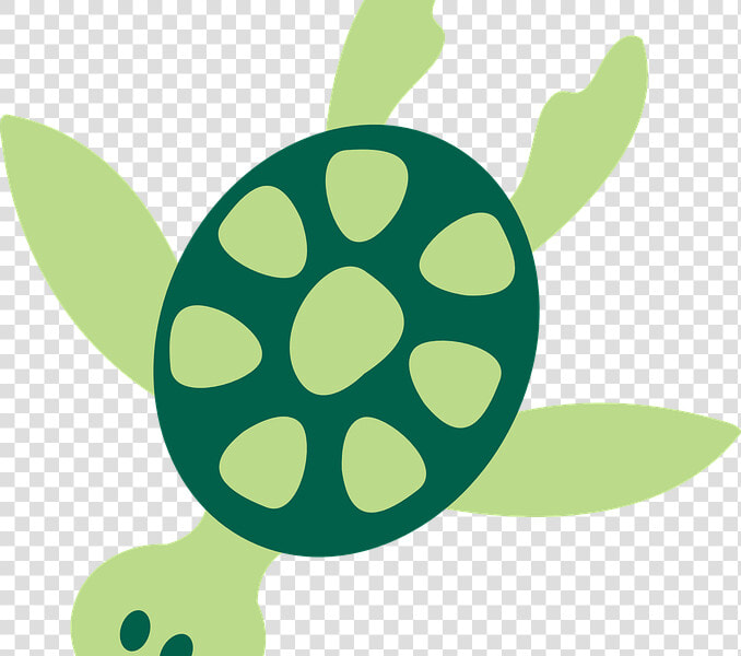 Download Ocean Animals Clip Art   Sea Turtle Png Clipart  Transparent PngTransparent PNG