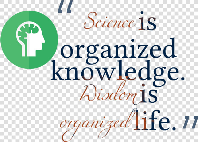 Knowledge Quotes Free Png Image   Calligraphy  Transparent PngTransparent PNG