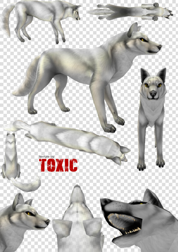 Canine Texture Free By Toxic Red Wolf   Feral Heart Preset Textures  HD Png DownloadTransparent PNG