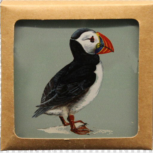 Puffin Coaster Giftset Webres 95pc Layer   Atlantic Puffin  HD Png DownloadTransparent PNG