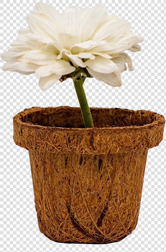 Beautiful Little Pot   Flowerpot  HD Png DownloadTransparent PNG