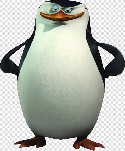 Madagascar Penguin Png Image   Madagascar Penguins  Transparent PngTransparent PNG