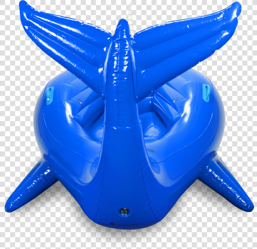 Whales  HD Png DownloadTransparent PNG