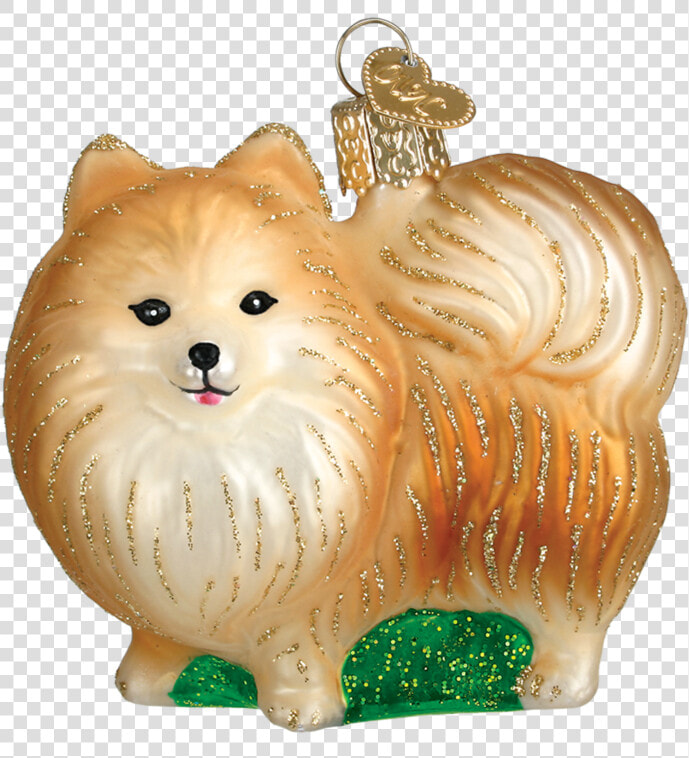 Pomeranian  HD Png DownloadTransparent PNG