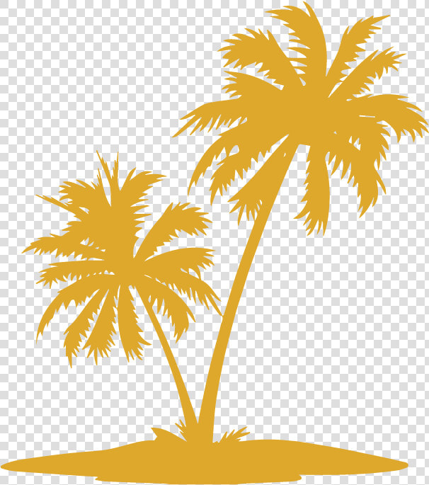 Transparent Cuban Cigar Clipart   Palm Trees Silhouette Vector  HD Png DownloadTransparent PNG