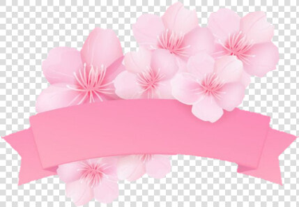  sakura  kirschblüte  banner  pink  rosa   Sakura Banner Png  Transparent PngTransparent PNG