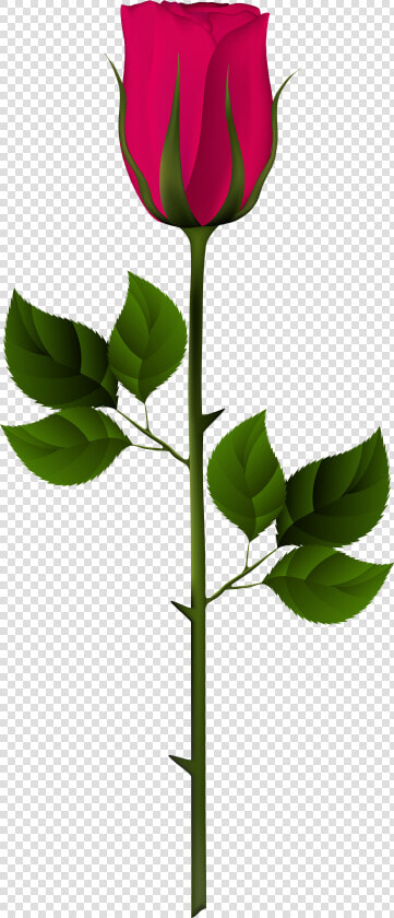 Jpg Free Download Rose Bud Clipart   Rose Bud Clipart  HD Png DownloadTransparent PNG