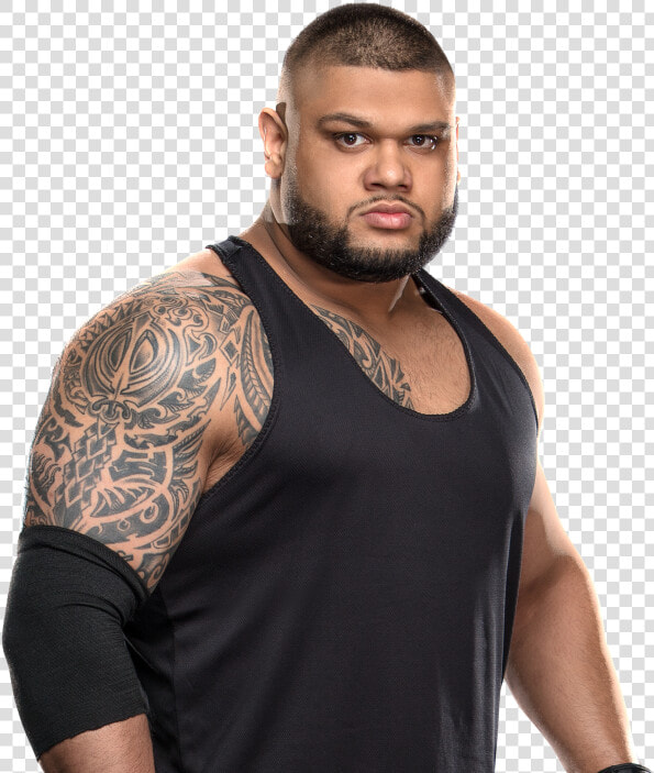 Wwe Aop Png 2019  Transparent PngTransparent PNG