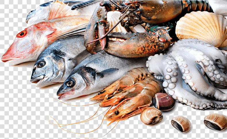 Fresh Fish   Png Download   Fresh Fish  Transparent PngTransparent PNG