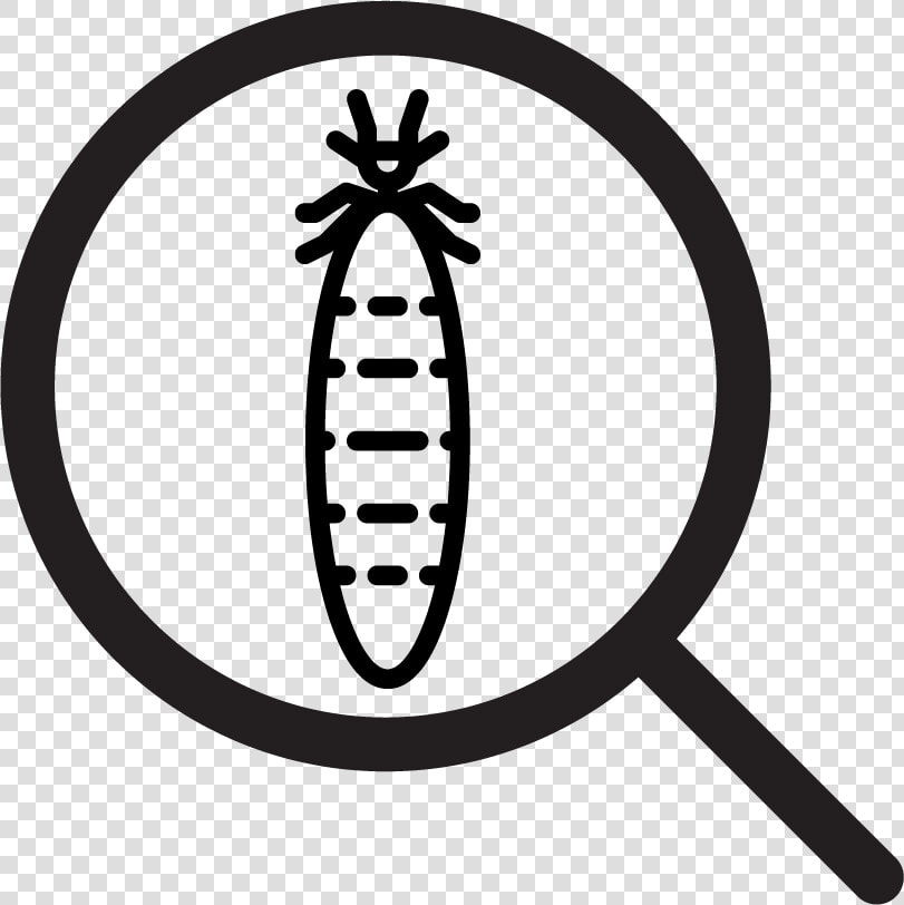 Nsw Sellers Icon   Termite  HD Png DownloadTransparent PNG